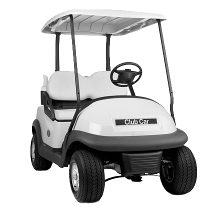 E-Rickshaw/Golf Cart Battery