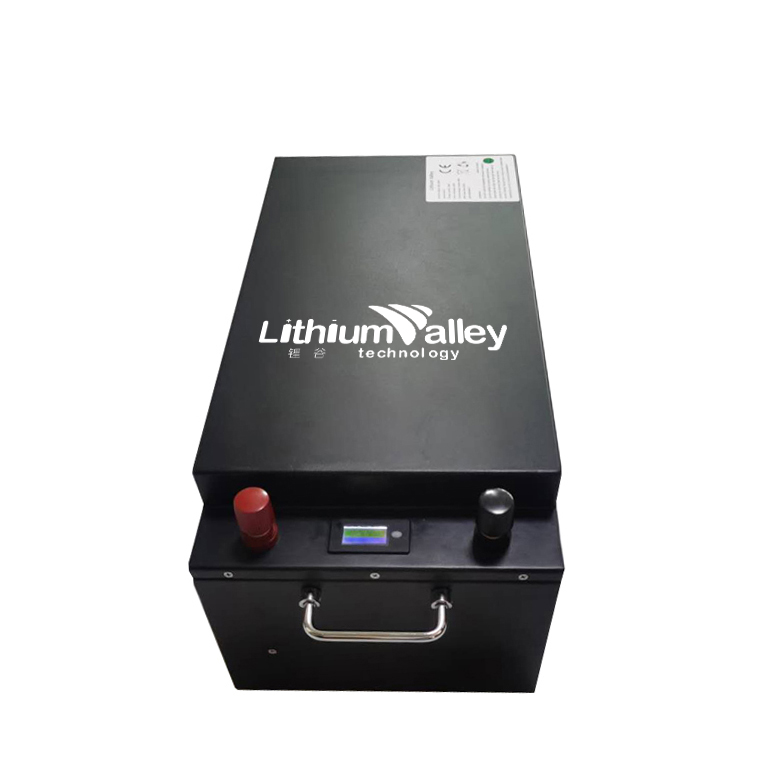 LiFePO4 48V 100AH Battery - Lithium Valley