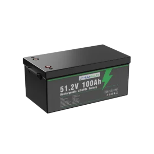 Lithium Valley 51.2V 100Ah LiFePO4 Battery - three-quarter view